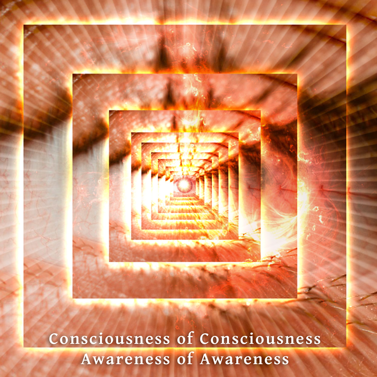 consciousness of consciousness